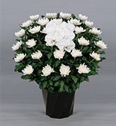19,800円の供花