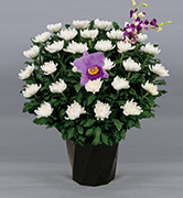 19,800円の供花